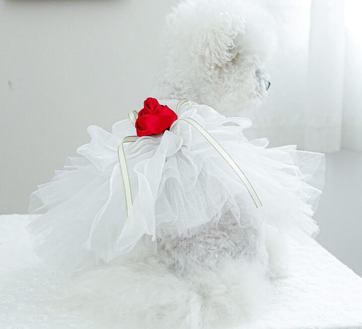 《予約》№3102152 レッドローズワンピース