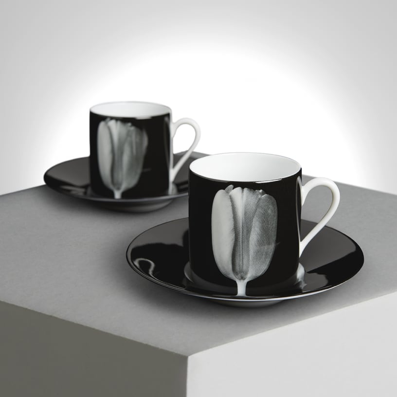 Robert MAPPLETHORPE ”Tulipe” Espresso set | ON SUNDAYS