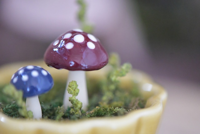 きのこミニオブジェ きのこミニオブジェ