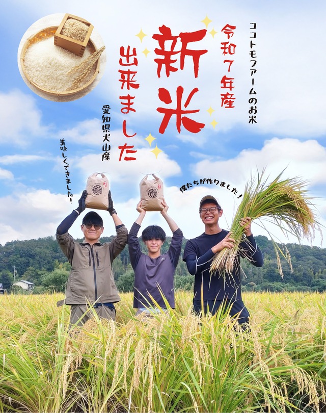 【令和7年度産！新米】ココトモファームのお米（あいちのかおり・5kg）｜犬山城主に献上された地で育つ、心をつなぐお米