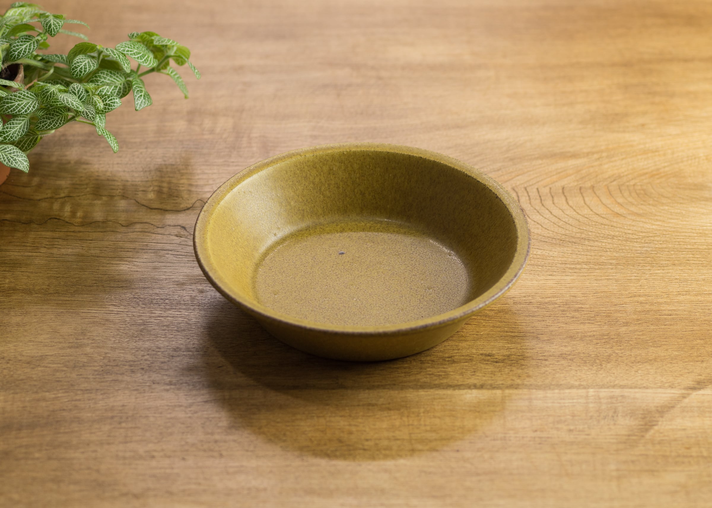 SHIROUMA 浅鉢 18cm 芥子色（深皿・スープボウル・グラタン皿・耐熱皿）／長谷川 哲也