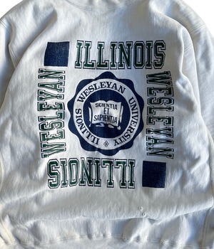 Vintage 80s Champion reverse weave sweatshirt -ILLINOIS-