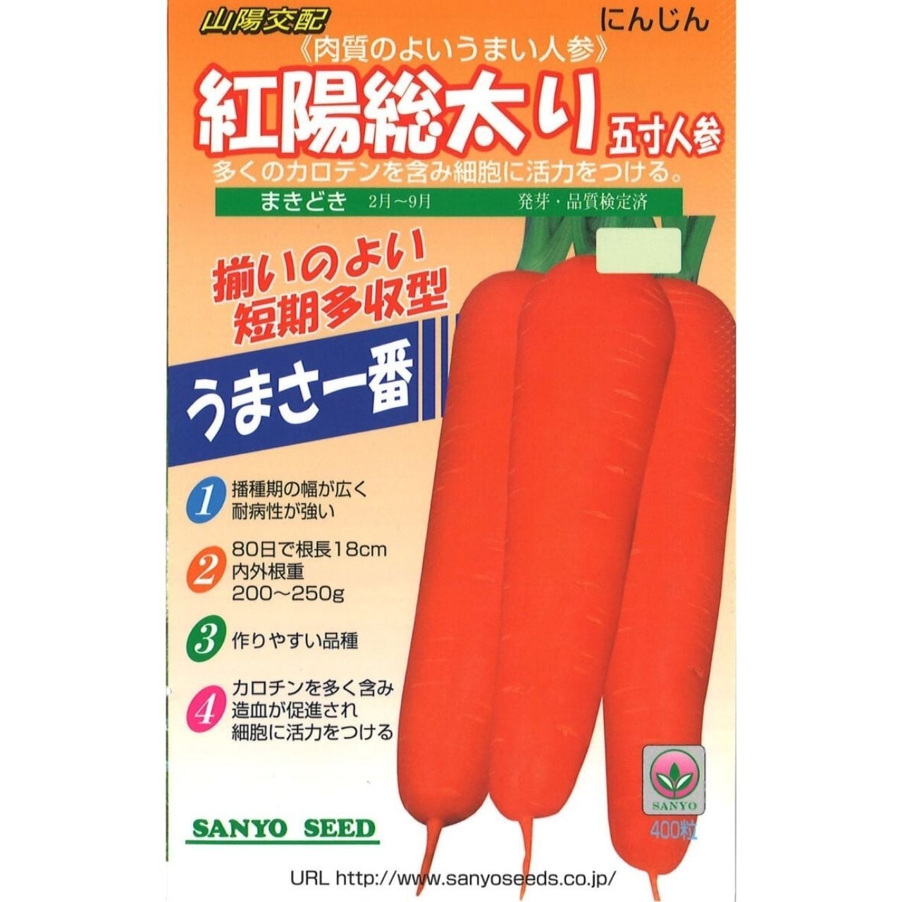 山陽交配　紅陽総太五寸人参（300粒）