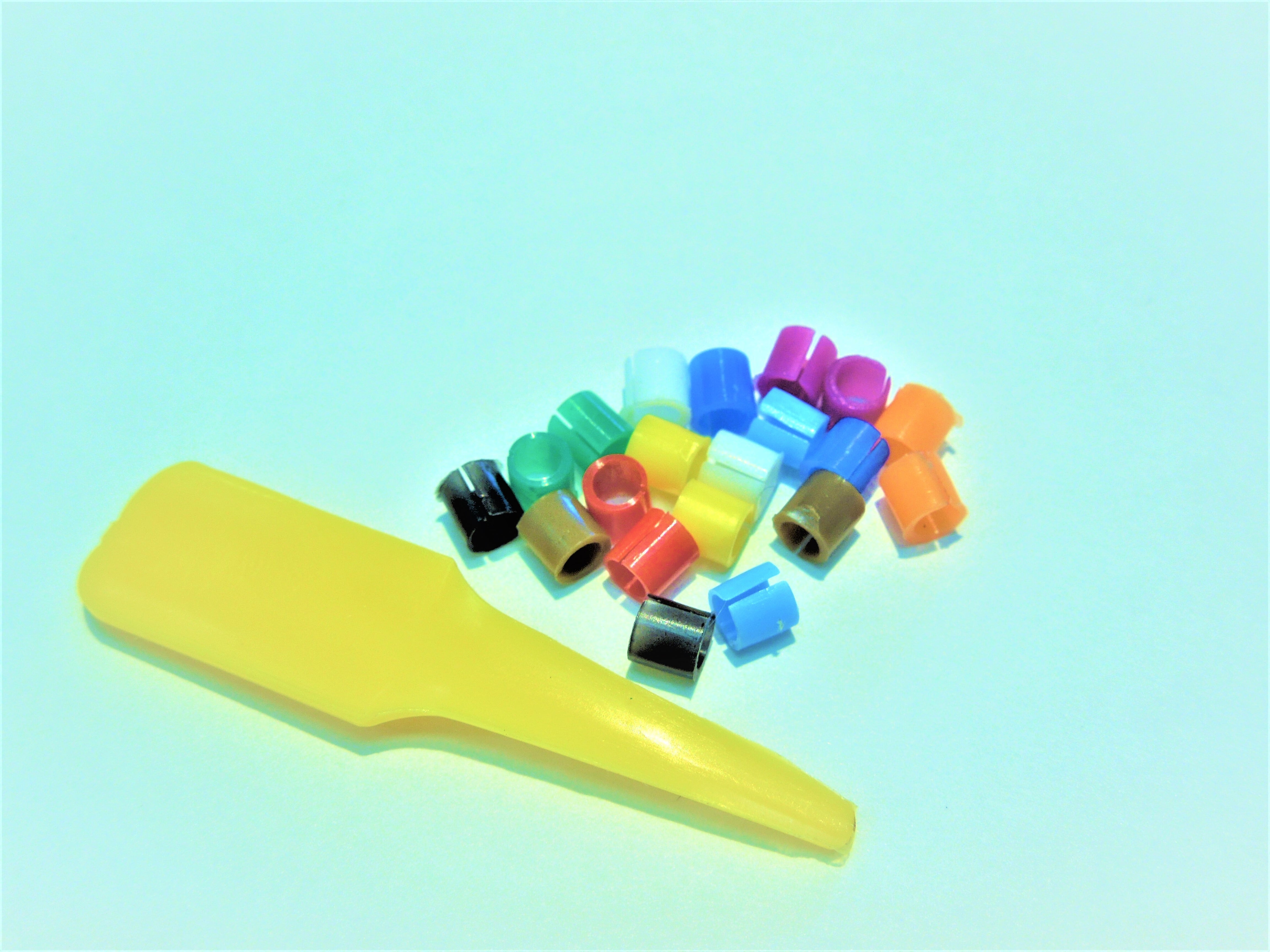 小鳥のリング 小鳥の足輪 k-36 （10個入り）（5色x2個、色はアソートです） | kobayashi