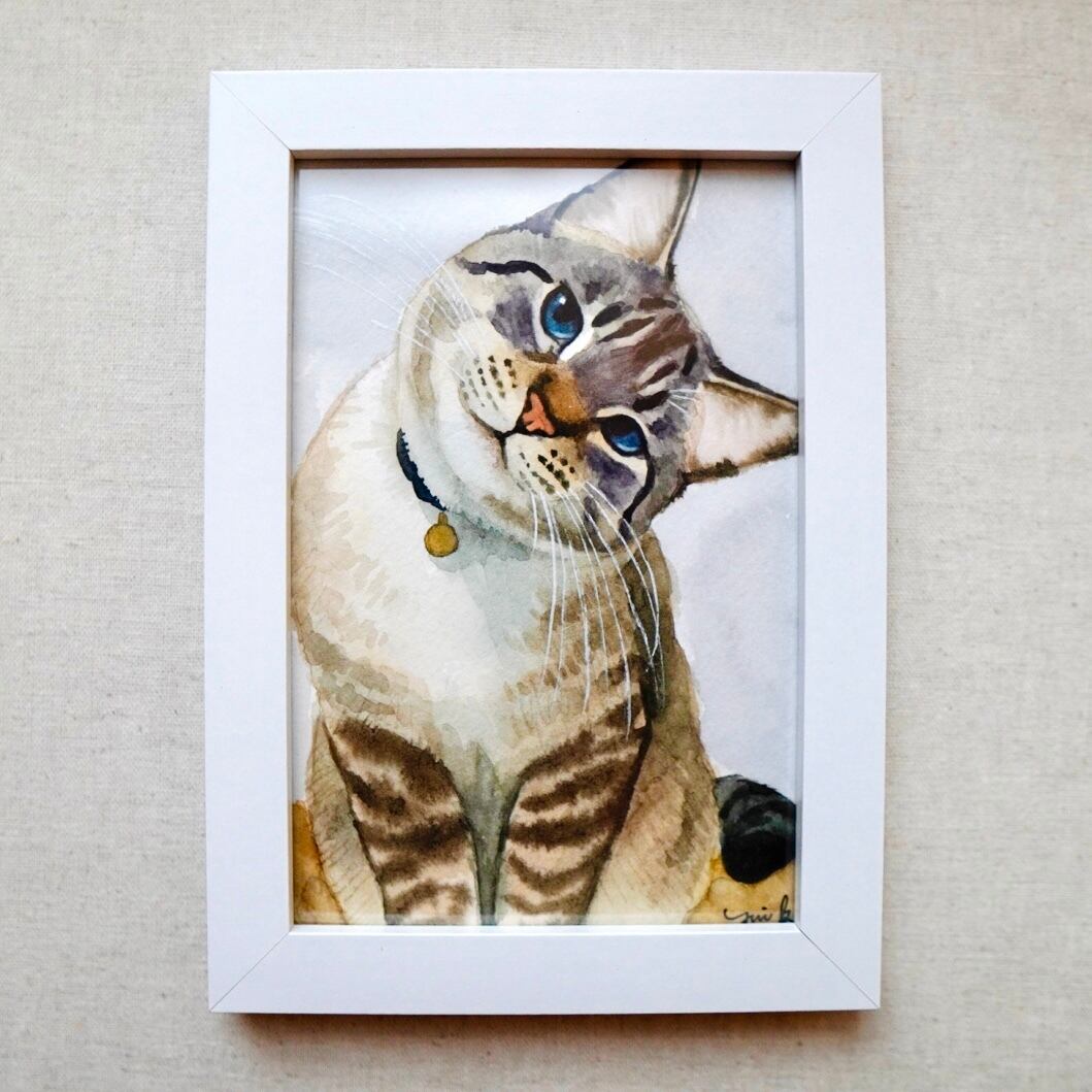 猫の絵 409 水彩画 原画 シャムトラ | Forest cat
