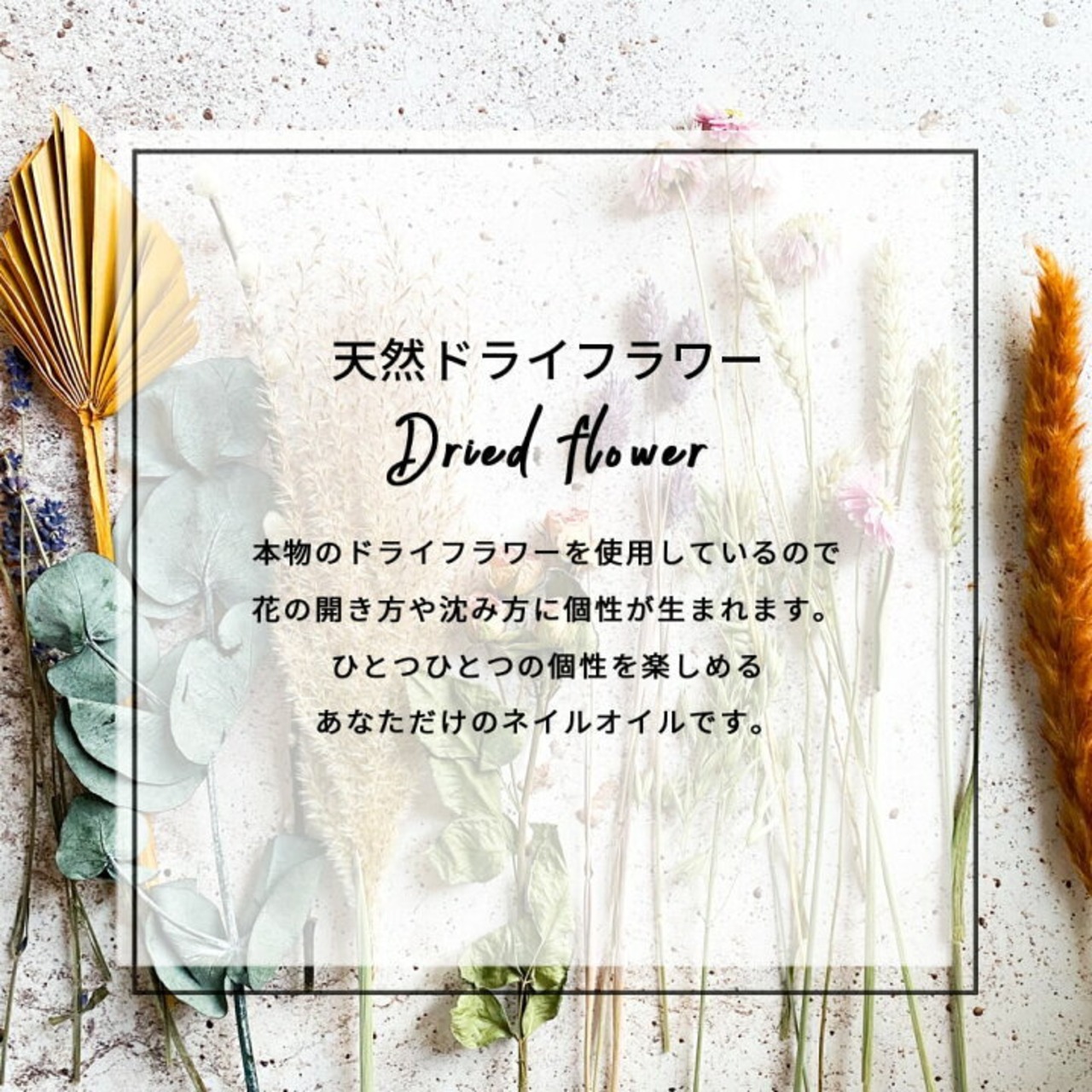 【ネイルケア】Koicoco アロマ ネイルオイル ドライフラワー入り