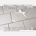 睡蓮の花 ーSilverー
