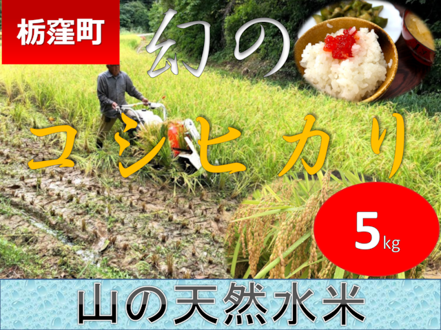 【令和5年産完売】「流通していない山の幻のコシヒカリ（5kg）