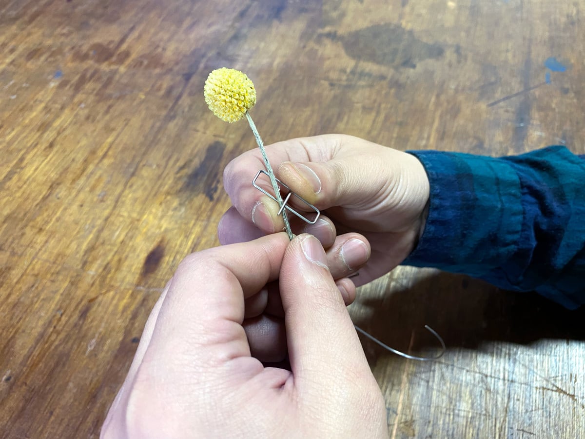 c642b6a8ce8a5a2e0067a9c1ba61a1