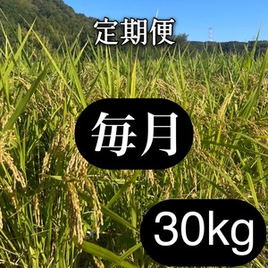 岡山県産　朝日　玄米30㎏　定期便　R7年産　無農薬　自然栽培　まとめ購入・在庫確保