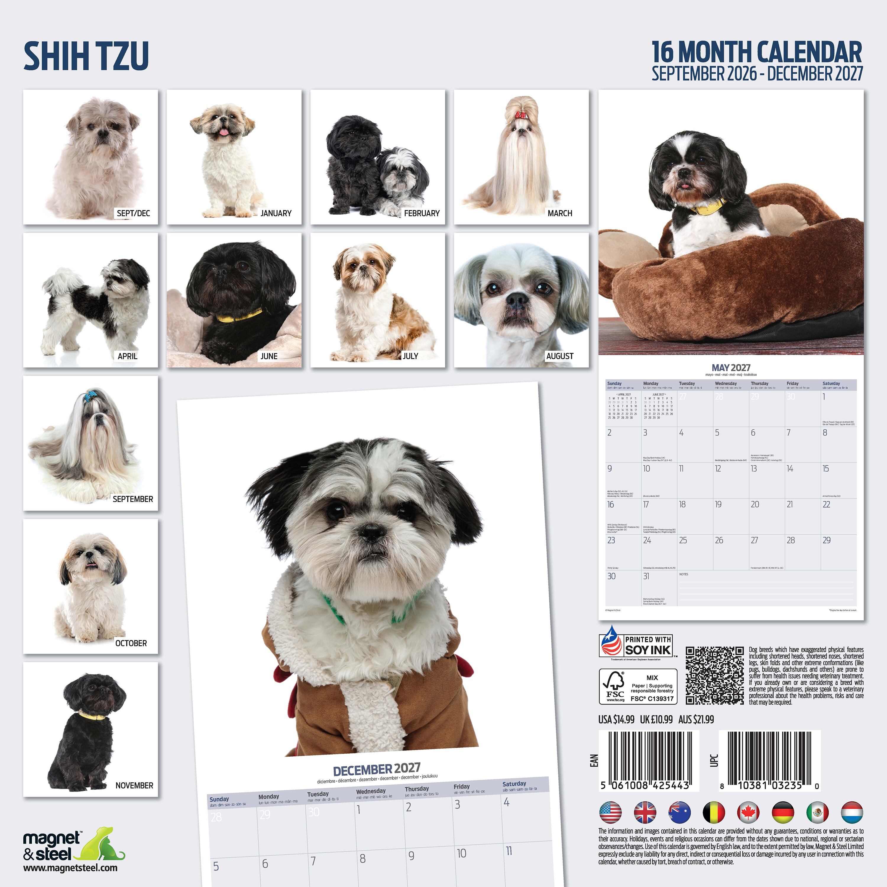 【2027年版】英国製犬種カレンダー【シー・ズー】 Modern 2027年版