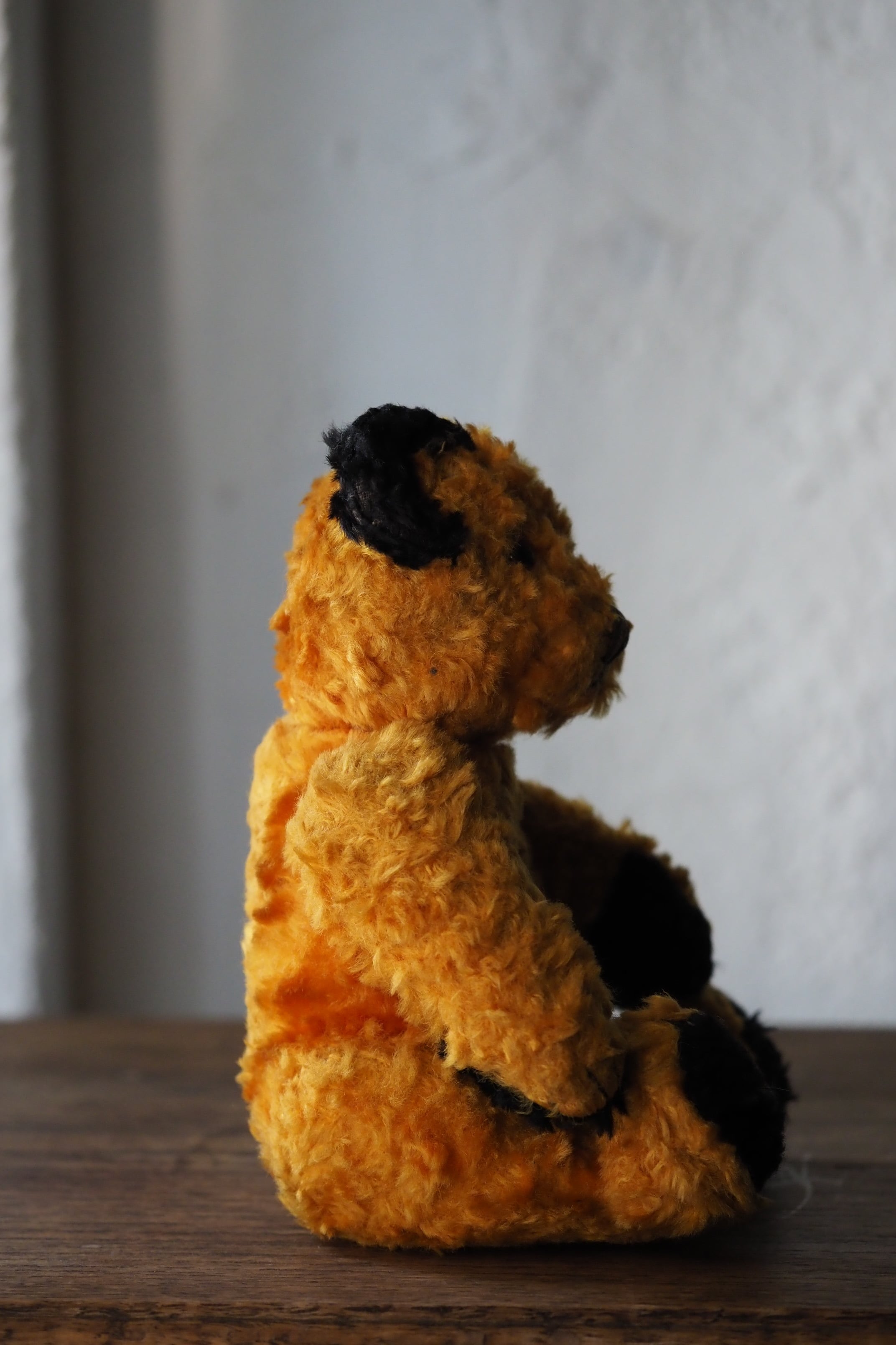 首を傾げるスーティーベア-vintage teddy bear | アンティーク