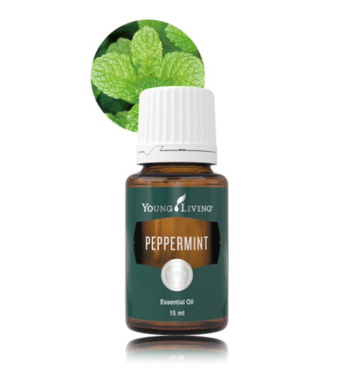 ヤングリビング ローズマリー 5ml小分け | shiinokijaya