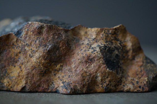 ボリビア ウユニ塩湖産ストロマトライト Stromatolite 1960