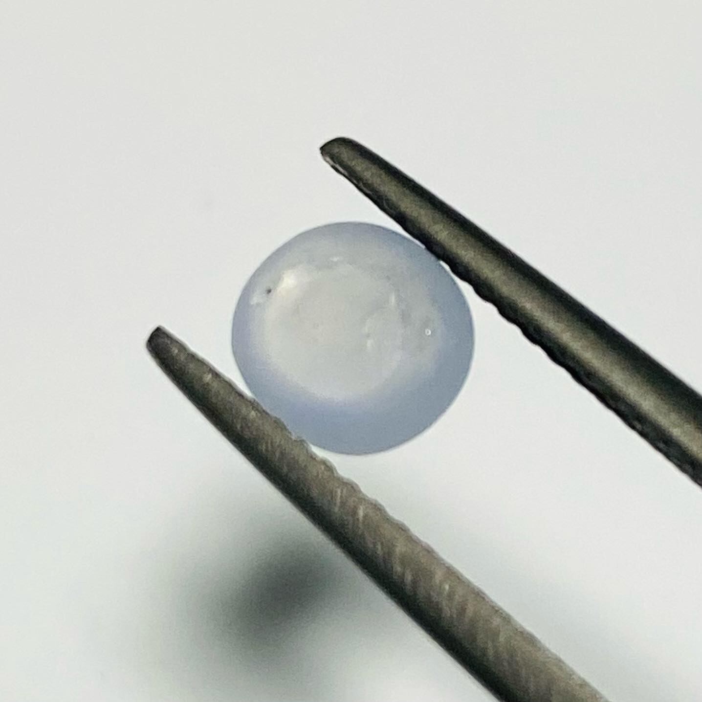 神秘的な海月 スターサファイア