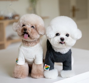 シンプルトップス⭐︎2XS〜3XL（送料180円）