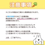 すこぶる動くウサギ ネオンサンド コースター