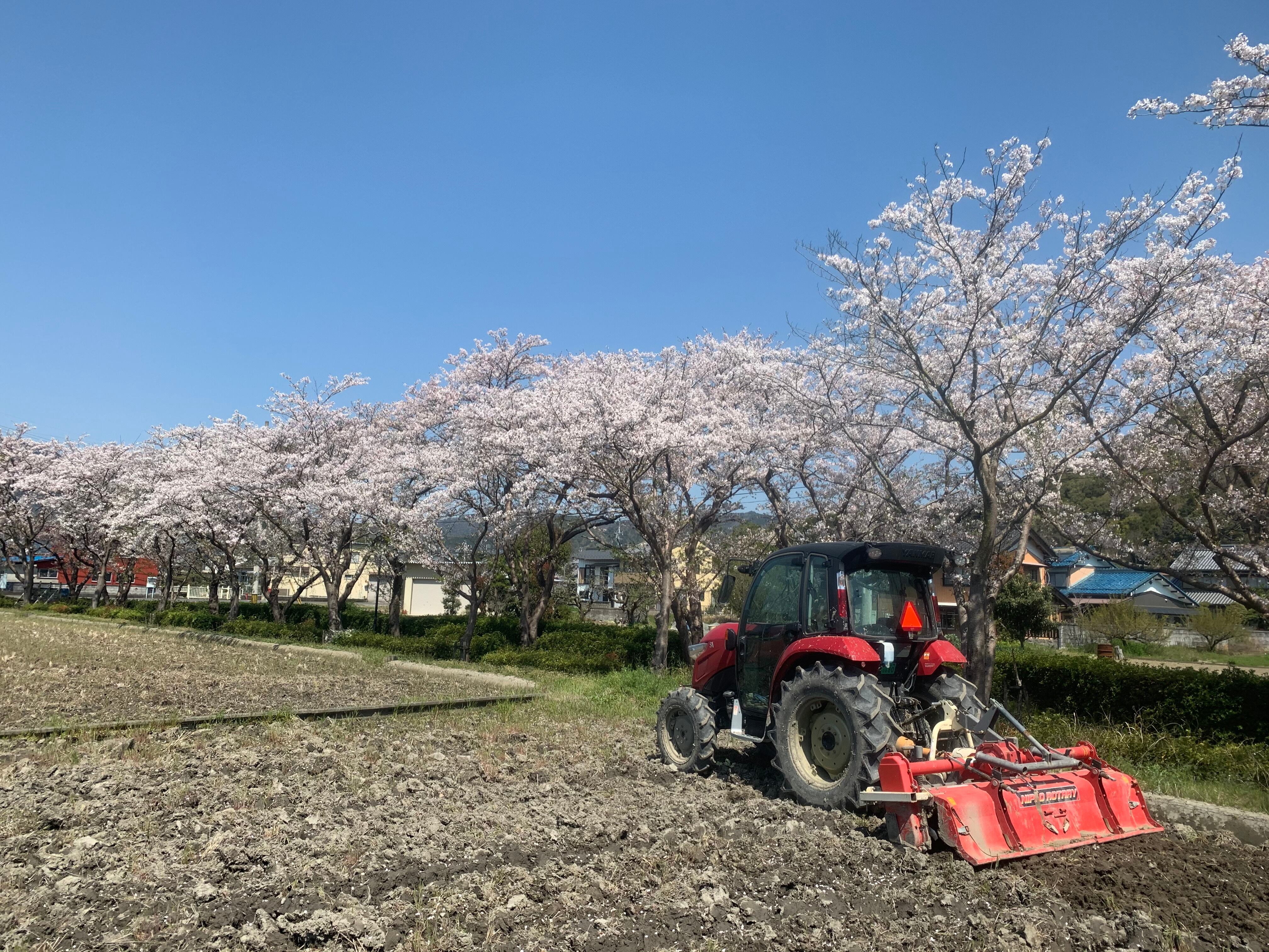 送料込み】まぼろしのお米！揖斐川町Takahashi Farm産 ハツシモ／白米