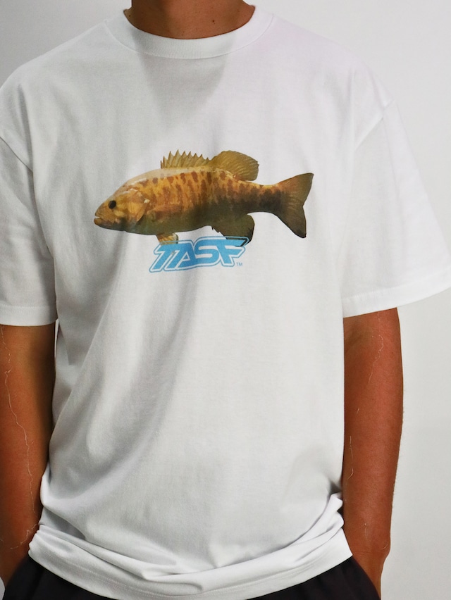 TASF / スモールマウスTee / White