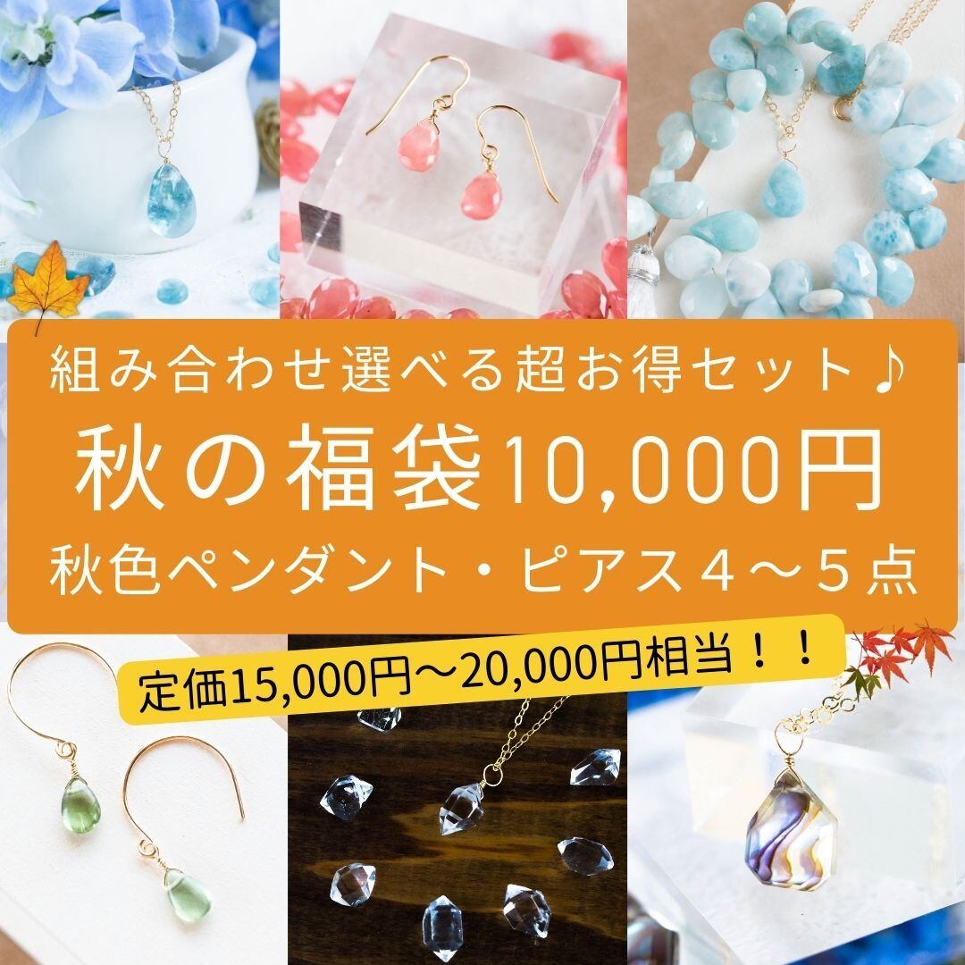 秋限定福袋2023 超豪華10,000円 天然石ネックレス・ピアス玉手箱