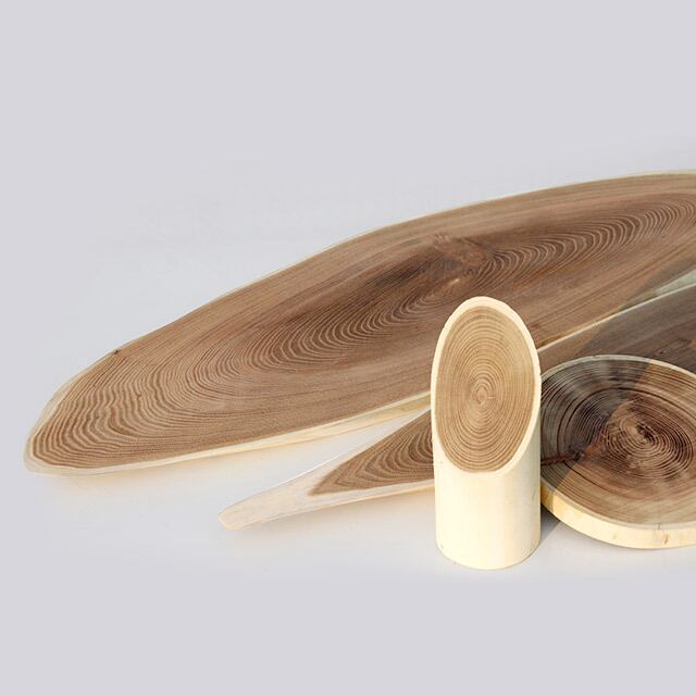 エンジュ 斜めカット丸太 #07946 | DIYセンチュリーネットショップ