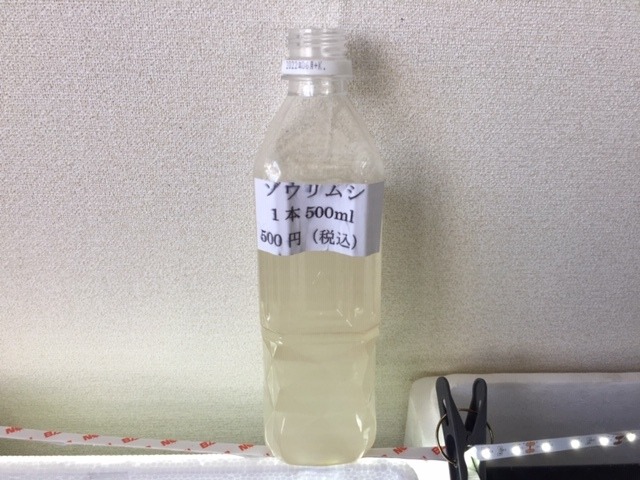 ネバーめだか屋 メダカのエサ ゾウリムシ500ml 生まれたてのメダカ 針子稚魚 用のエサ ネバーめだか屋
