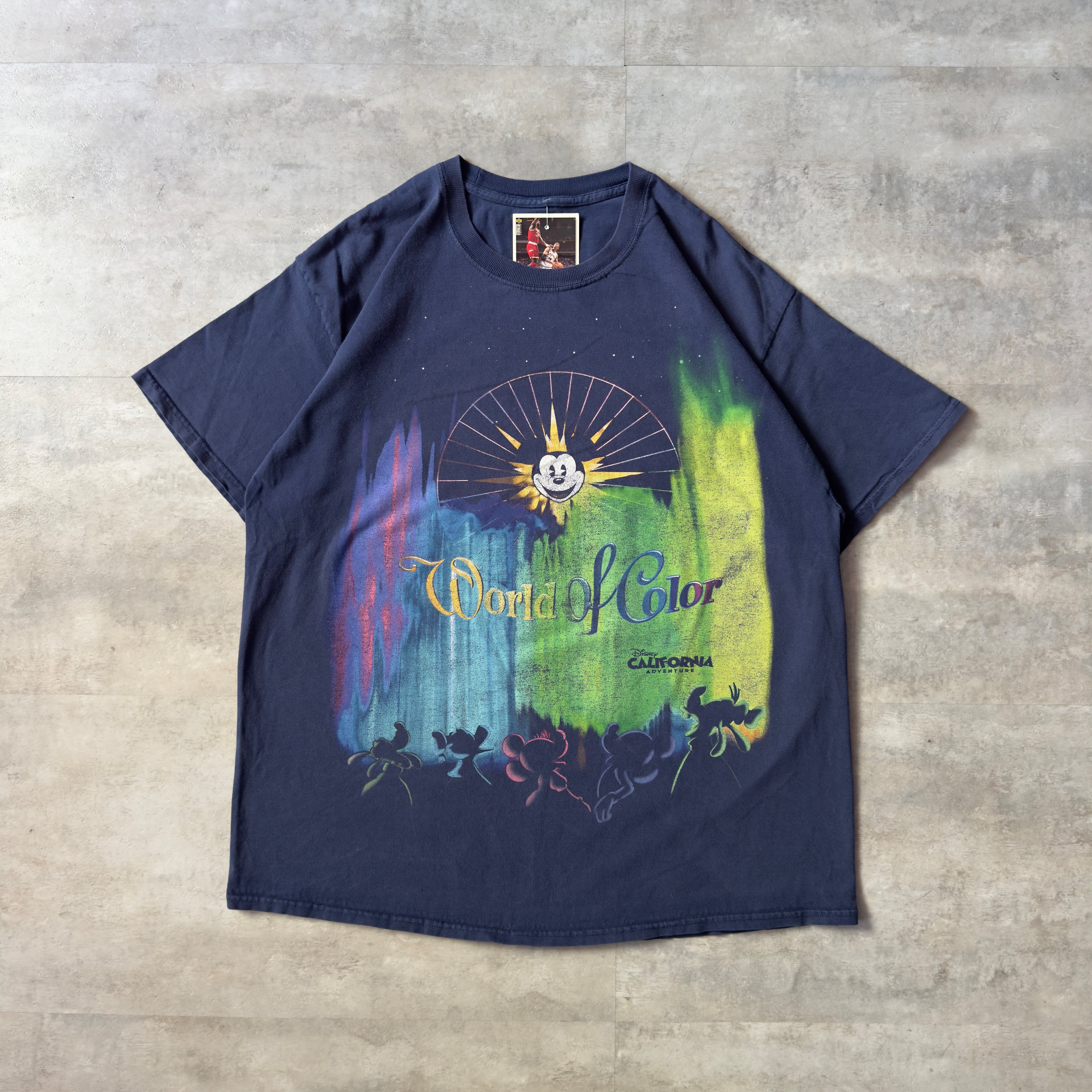 90's USA製 アニマルキングダム ディズニーTシャツ Lサイズ | Pay ID