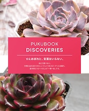 【NEW-STANDARD】 水耕栽培苗 サウザンドスノー Echeveria 'Thousand Snow'