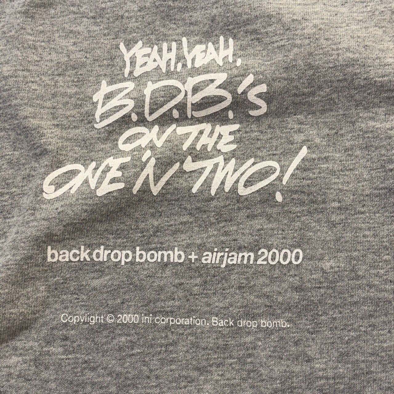 2000s BACK DROP BOMB T-SHIRT GRAY | safarionline