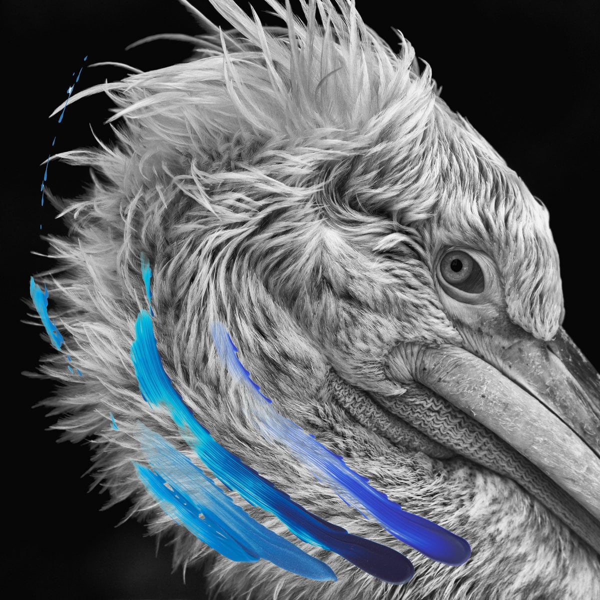 LIES / LIES(Ltd Silver 2LP)