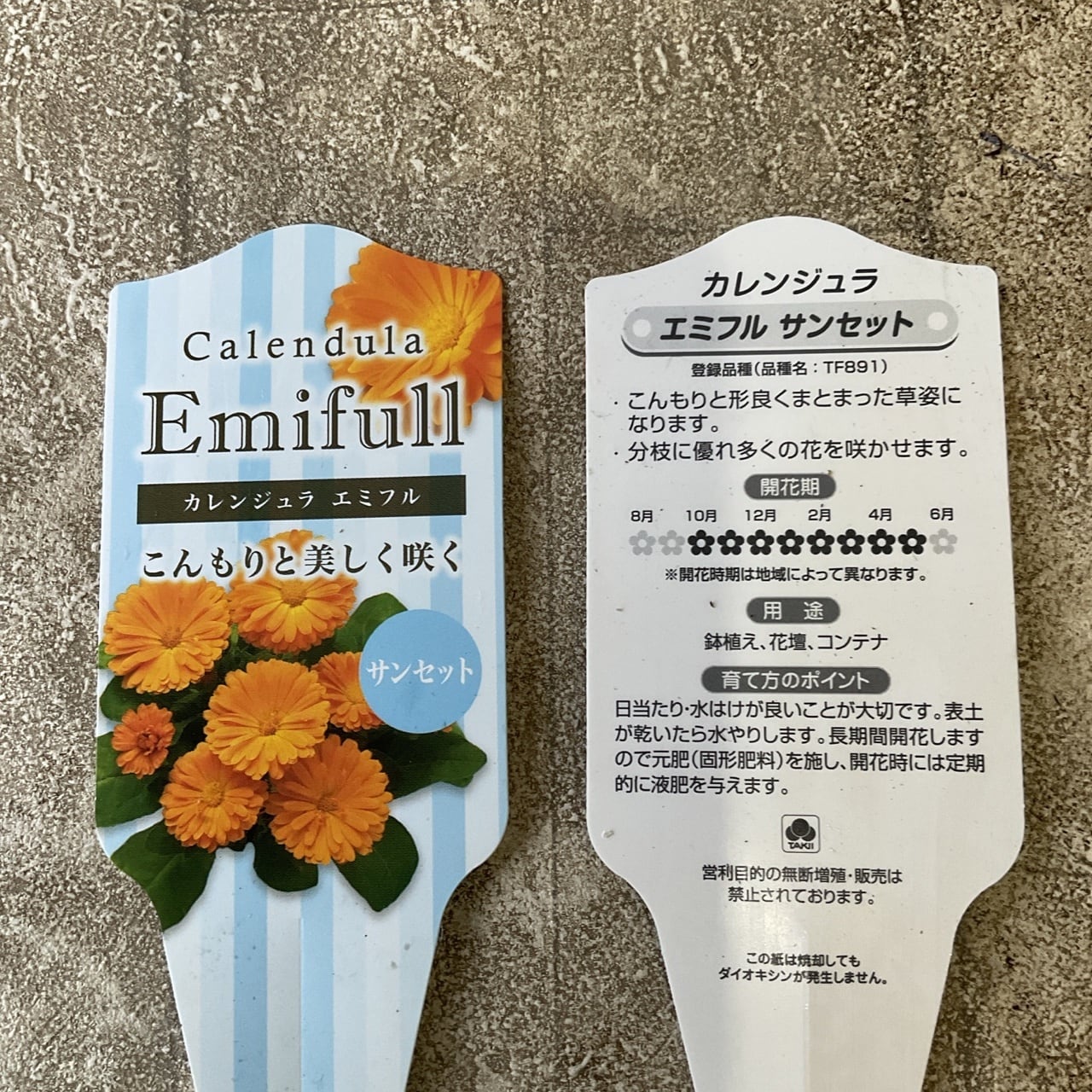 カレンジュラ エミフル 選べる♪2種 3.5寸ポット | 橋本種苗園
