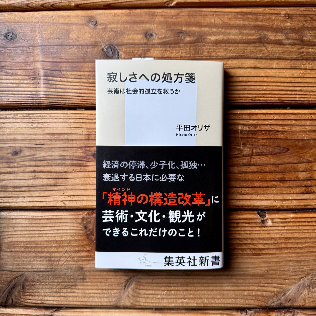 寂しさへの処方箋 芸術は社会的孤立を救うか | 平田 オリザ | 尾鷲市