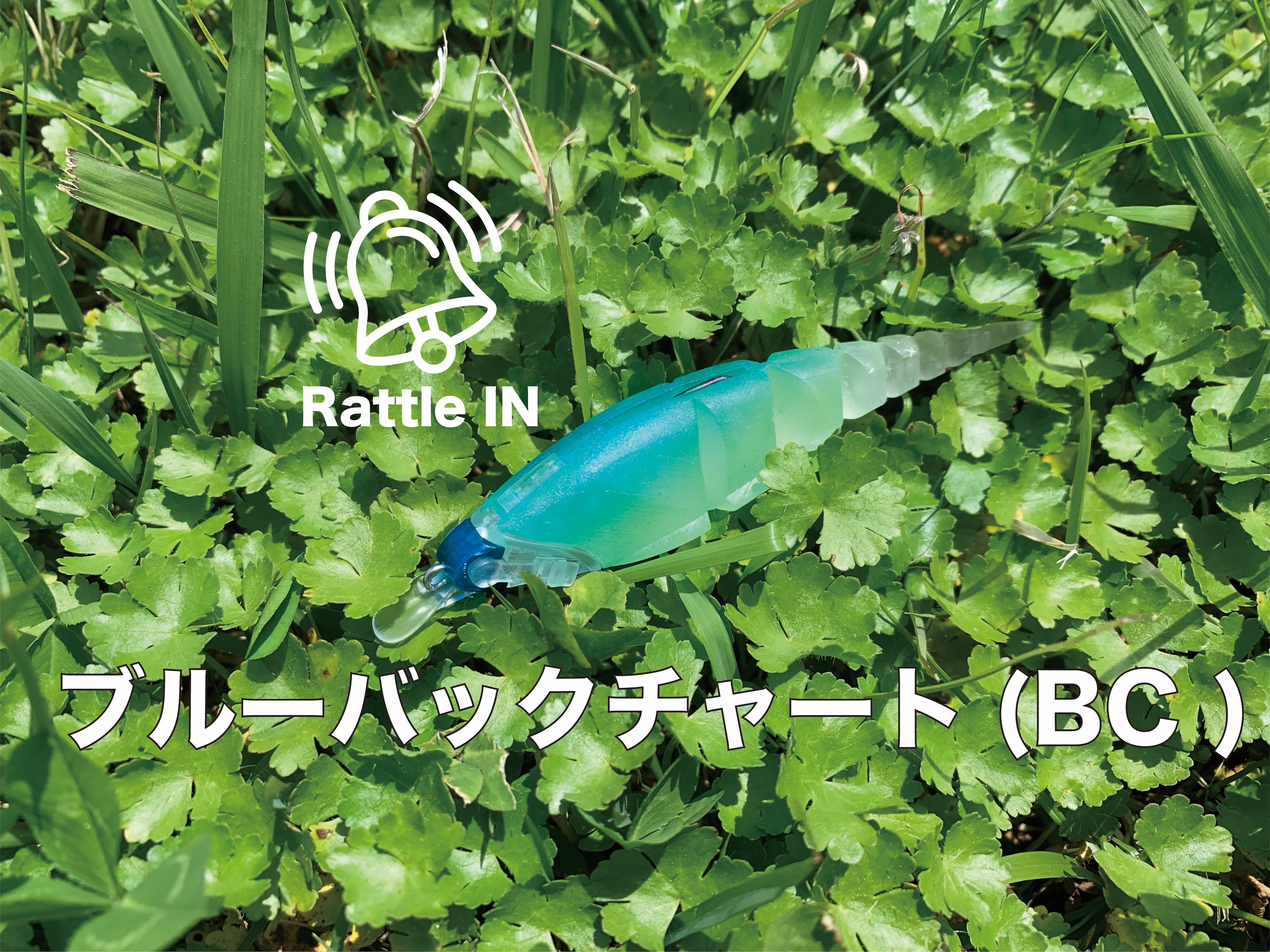 β-MINNOW（Rattle IN） | TTT