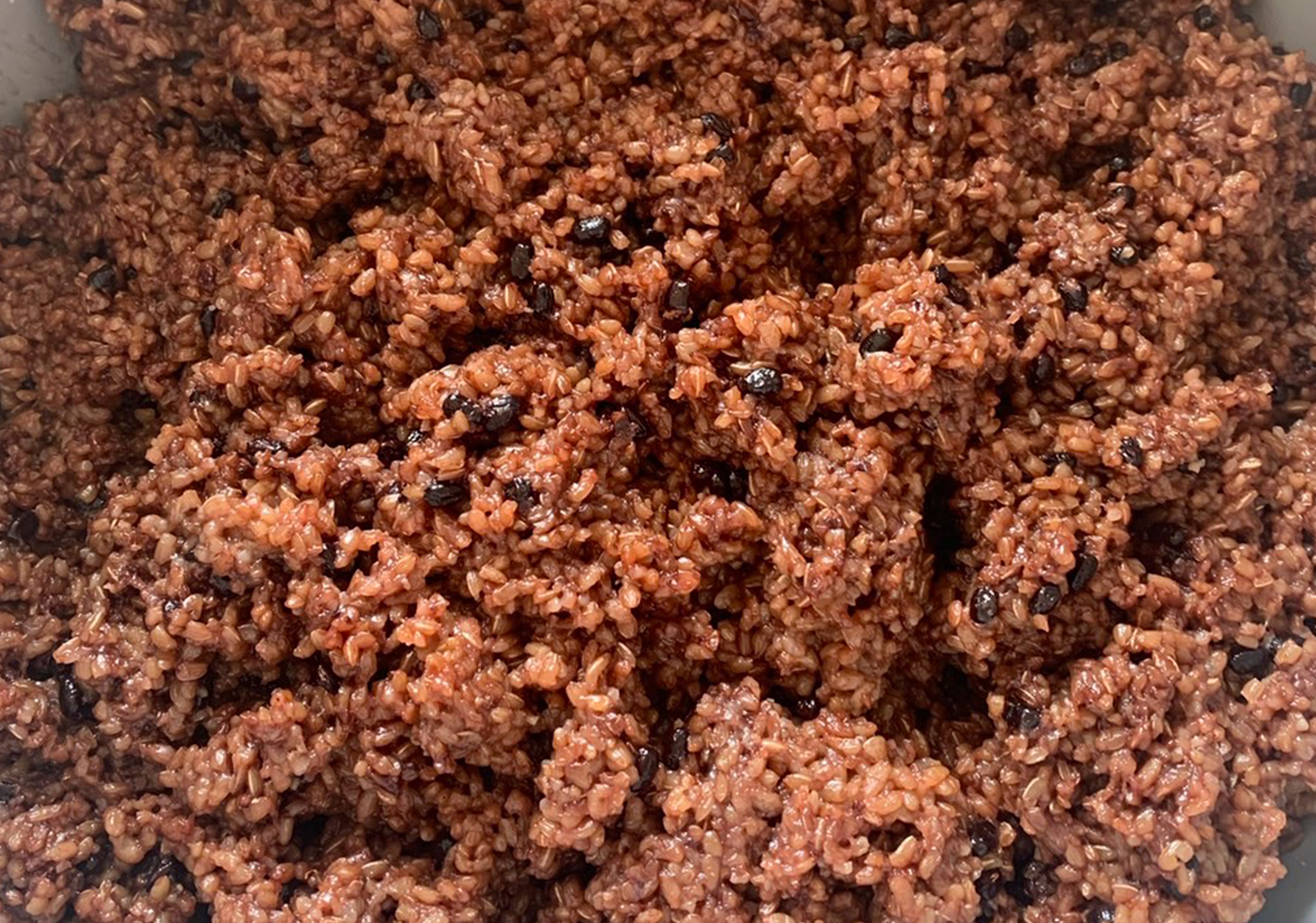 長岡式酵素玄米 一升：3kg | 幸光堂（コウコウドウ） coocoodoo 長岡式