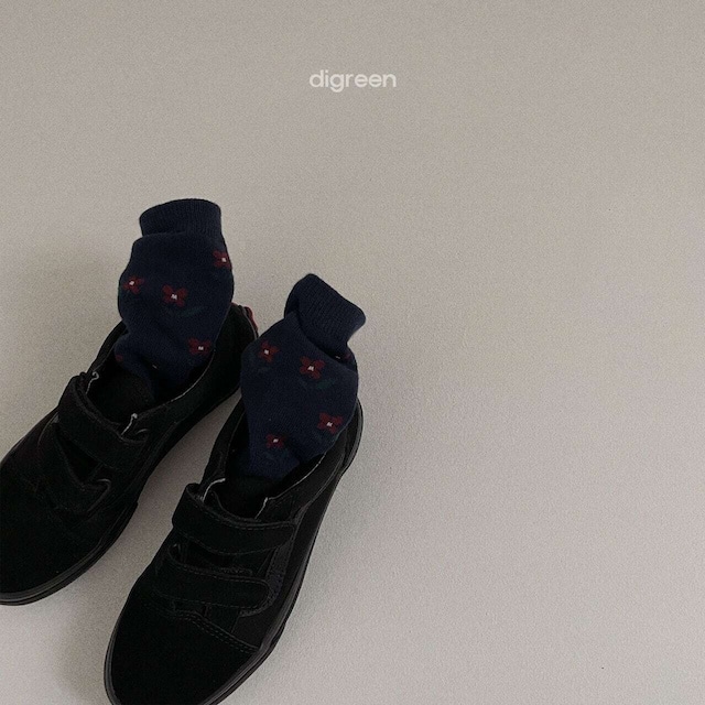 【即納】digreen Areum socks