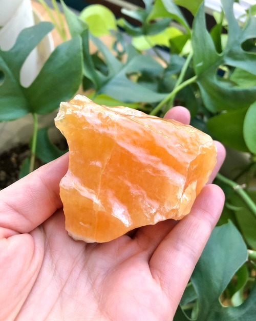 あなたの逆転劇