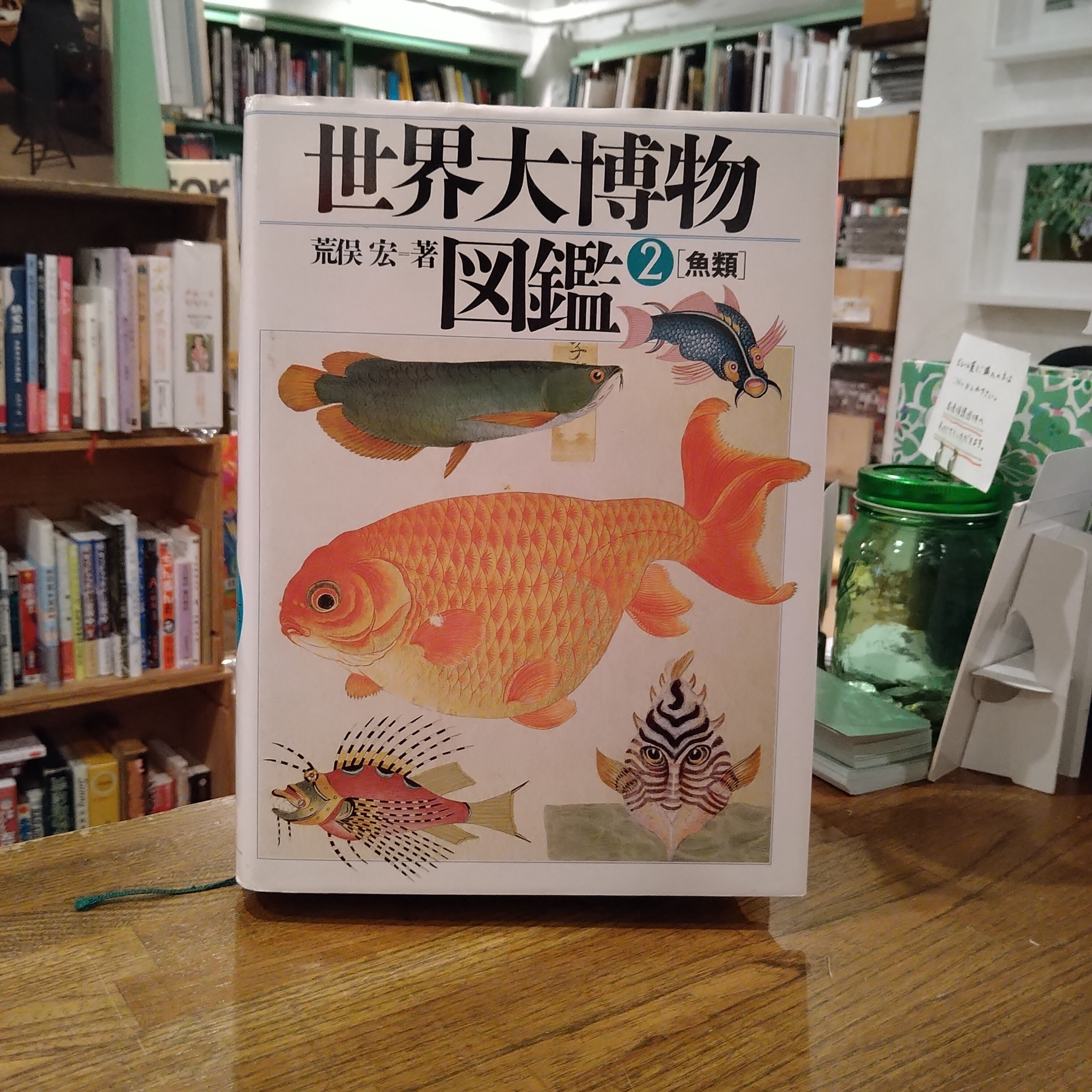 世界大博物図鑑 第2巻 魚類 / 荒俣宏ほか | 百年