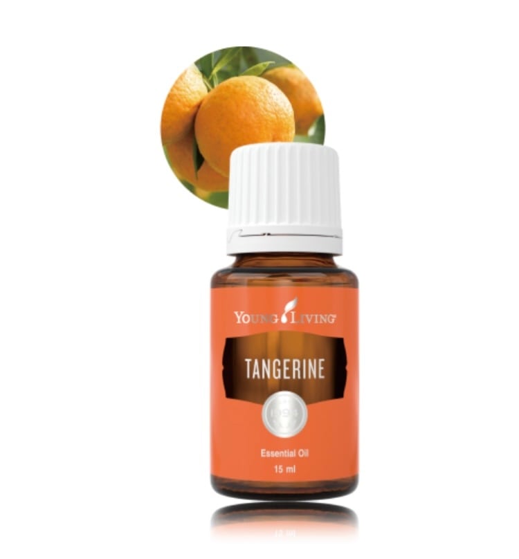 タイム 5ml小分け ヤングリビング社 | shiinokijaya