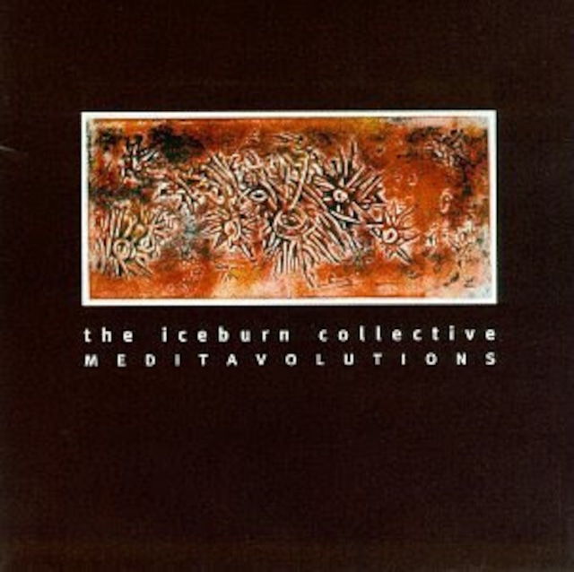 【USED/A-3】Iceburn Collective / Meditavolutions