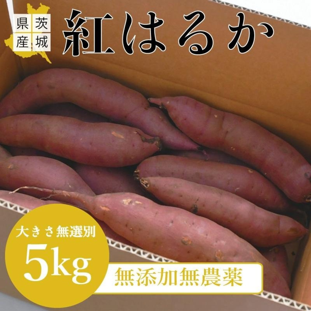 c672dadf0d6633a90594c1dc058a32 
