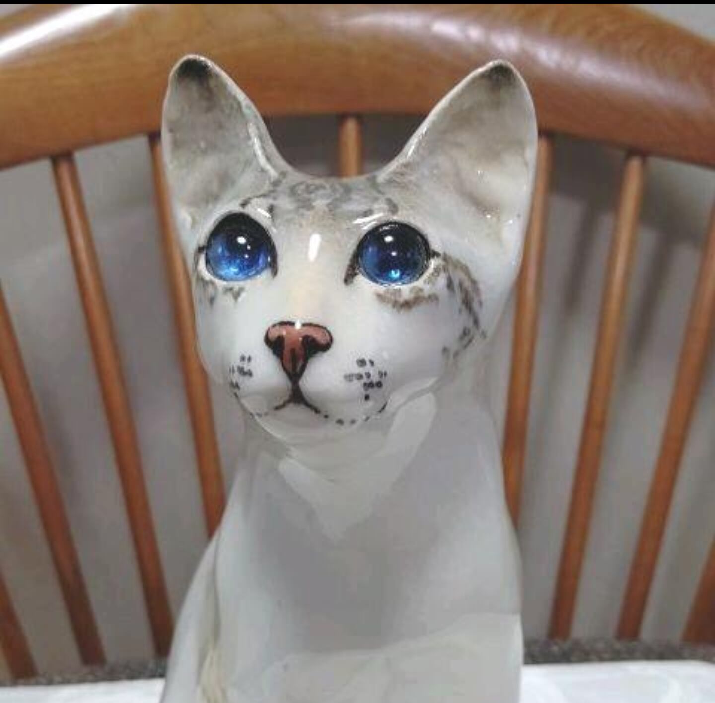 SOLD OUT】ブルー眼の白いシャム猫、サイズ「4」、ウィンスタンレイ