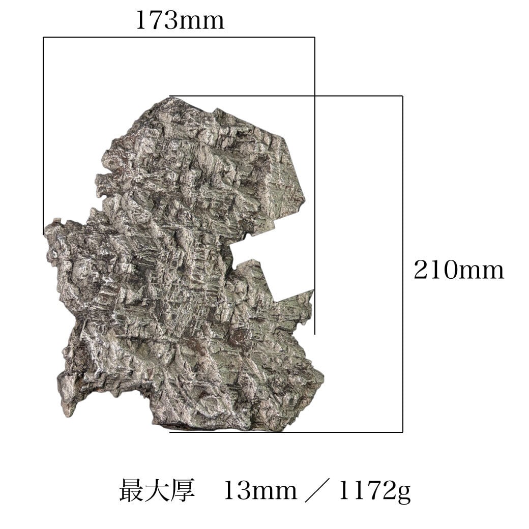超大型】ムオニオナルスタ隕石 Muonionalusta Meteorite | 【隕石屋