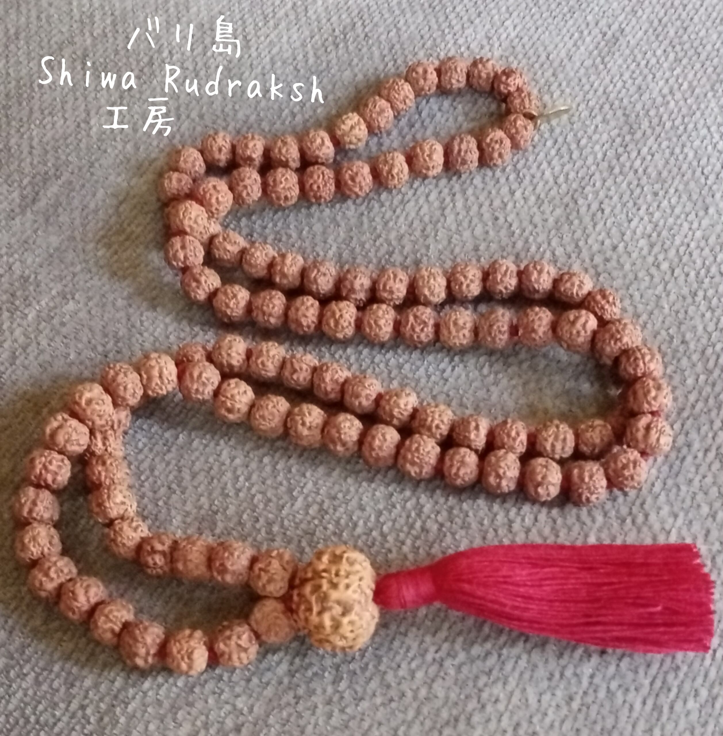 7面ラクシュミー】5面ルドラクシャ☆108粒マーラー | Shiwa Rudraksha