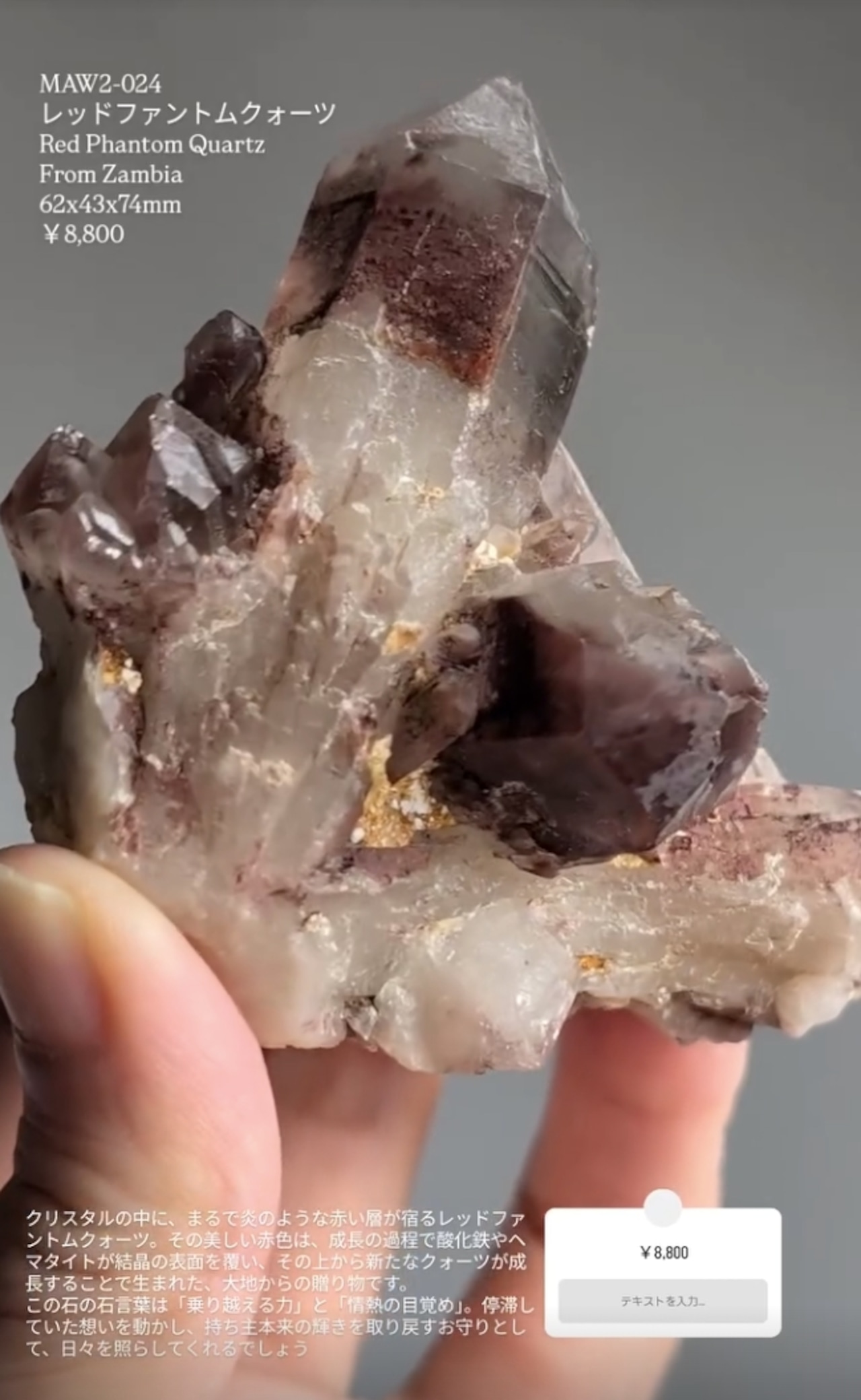 ⭔ お客様専用ページ ⭔ takashiaoyamapv2様　