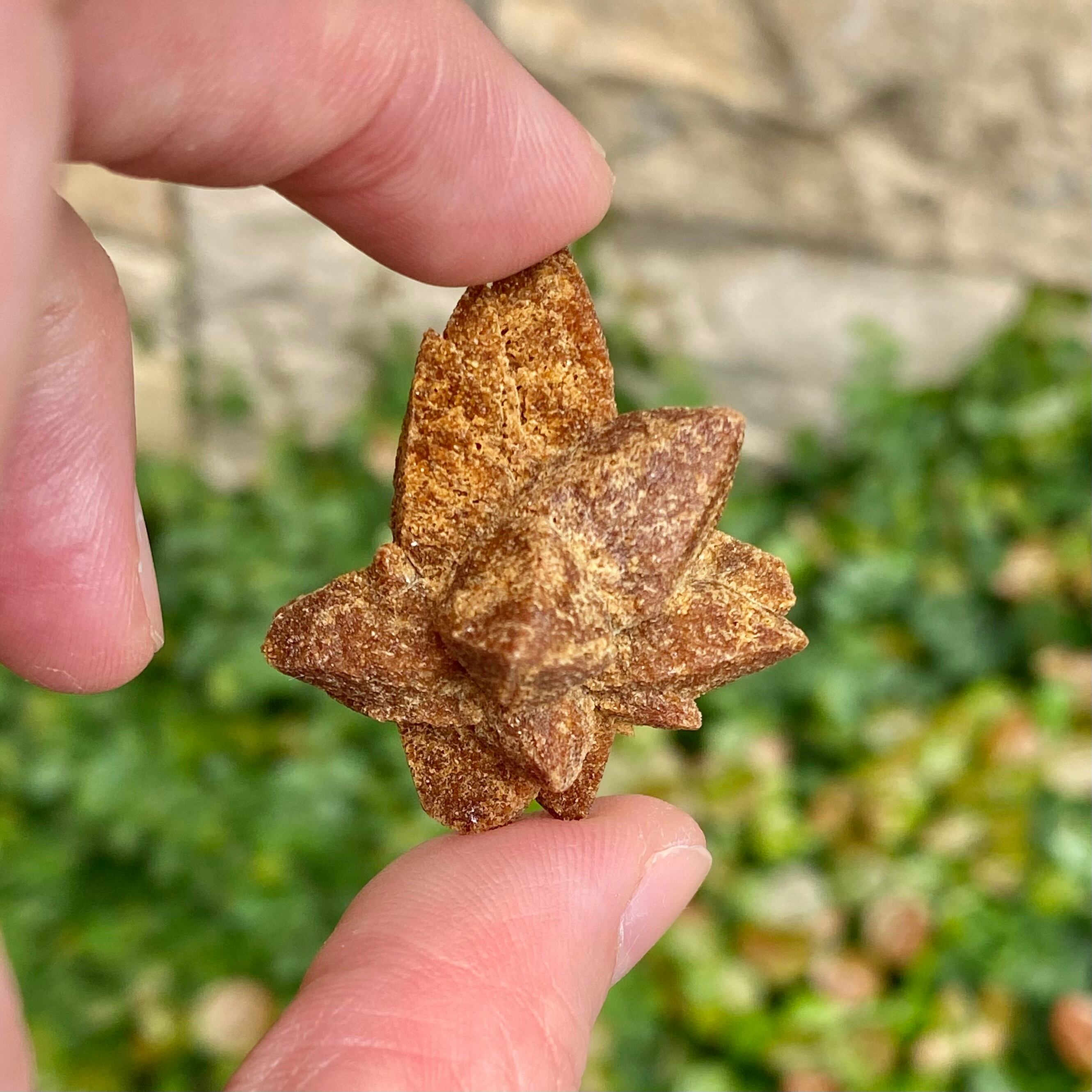 グレンドナイト | 石の魔法