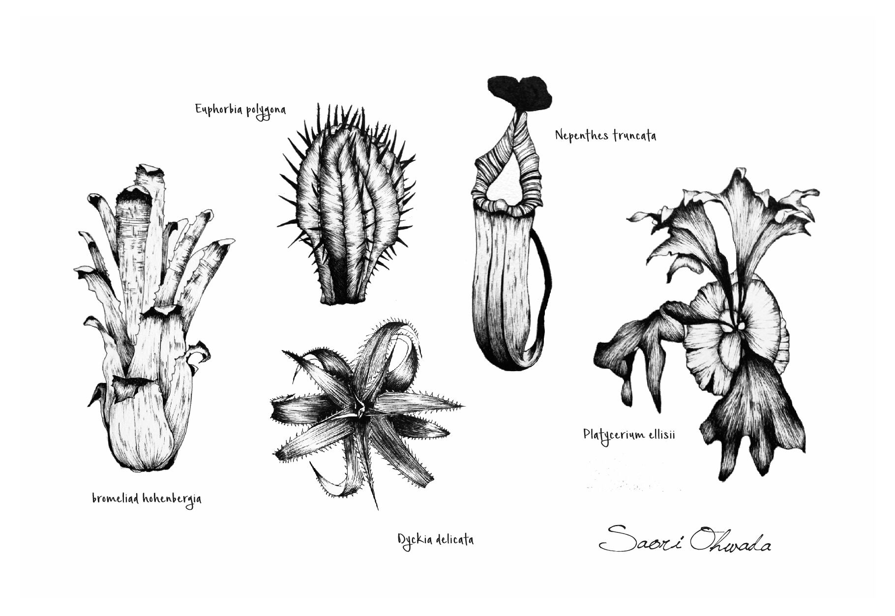 ワインを持つオスカル　A4 和紙に顔彩 ワインを持つオスカル A4 和紙に顔彩 絵画