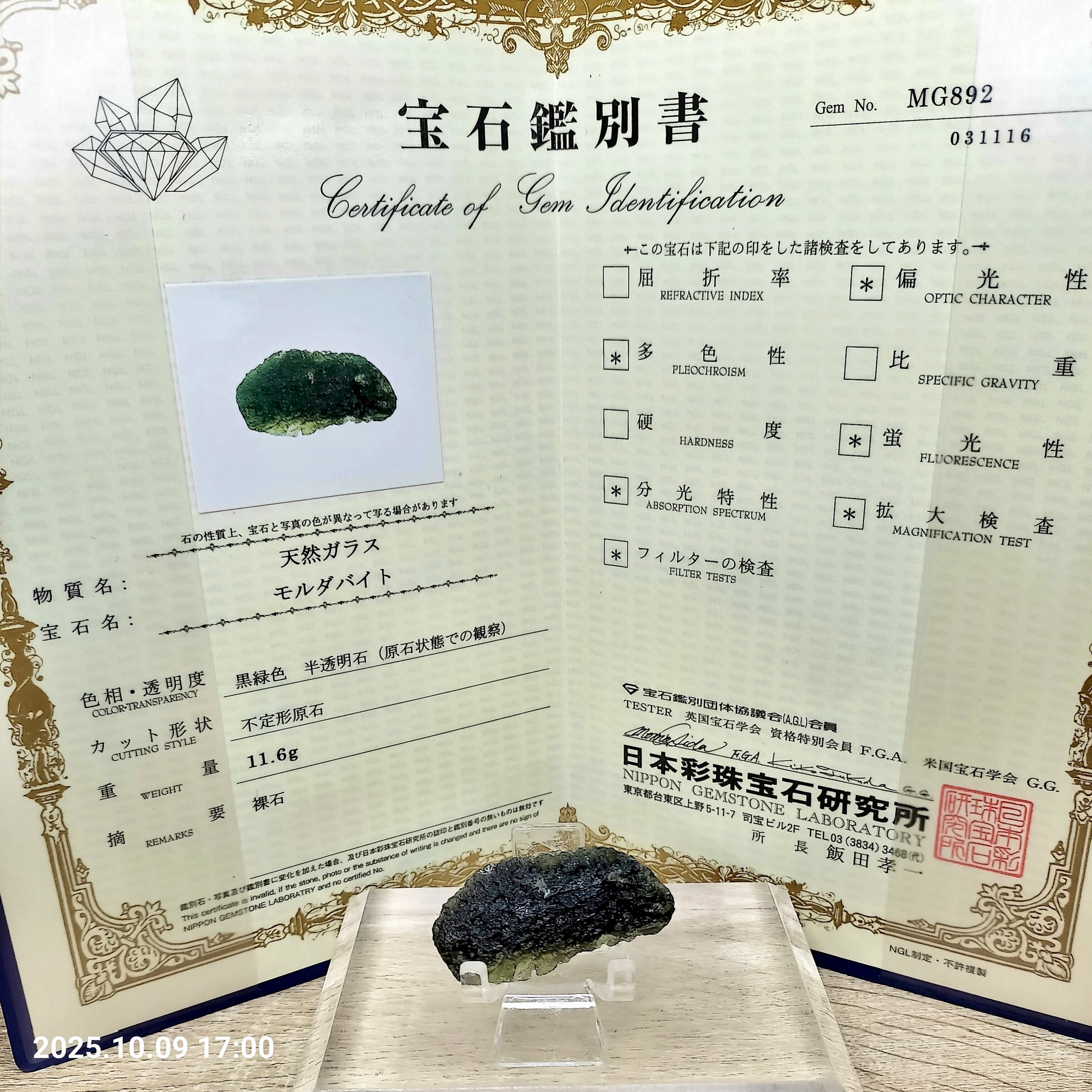 成約済み】超希少 虹入り 天然 無処理 モルダバイト 原石 11.6g 鑑別