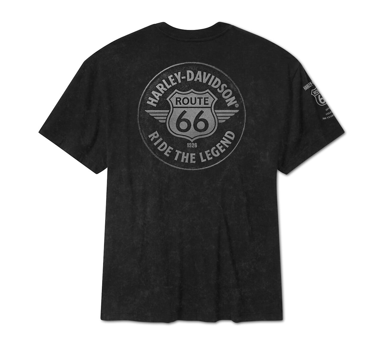 メンズ エレクトリックイーグルH.O.G.®グラフィックTシャツ | ハーレー