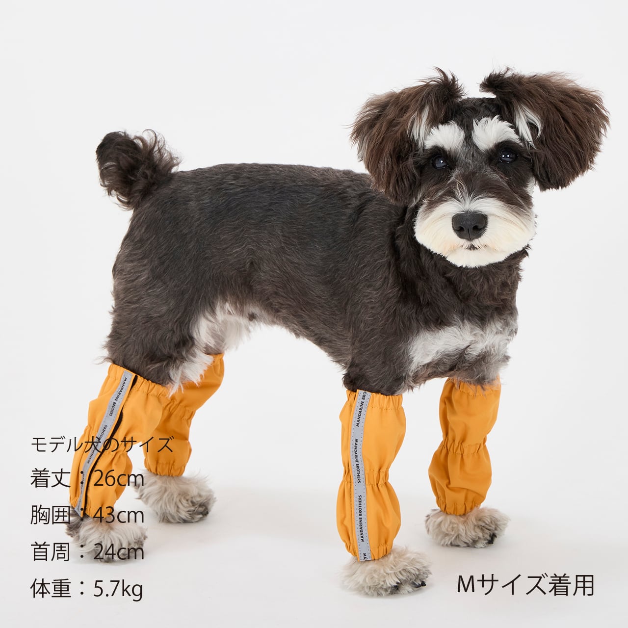 RAIN LEG COVER（S.M） レインレッグカバー | MANDARINE BROTHERS