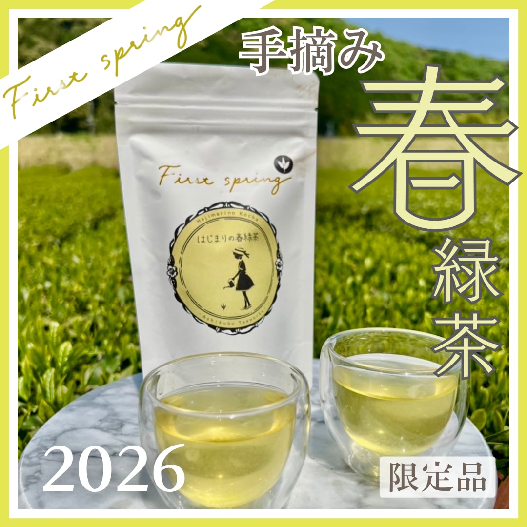 2026新茶【手摘み】First Spring はじまりの《春緑茶》(やぶきた・リーフ50g）浅蒸し
